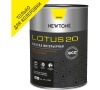 Lotus 20 C