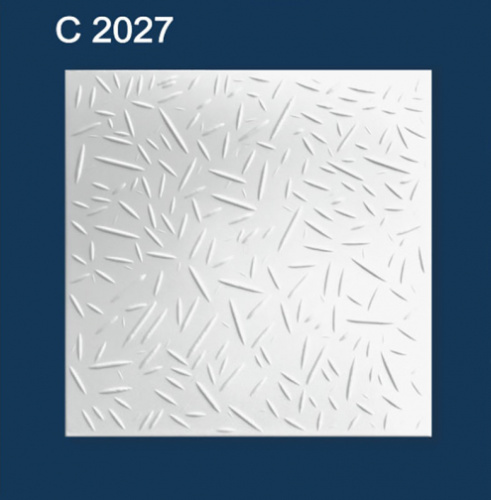 С2027