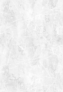 Свинцовое небо 669-1 фон